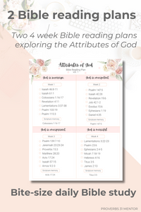 Attributes of God Bible Study Guide and Scripture Reading Plan