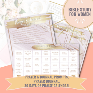 Renew Your Mind in Christ Bible Study Kit